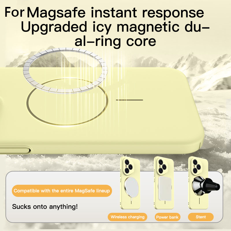 Coque magnétique mate en PC po - Matte Hard Pc Back Case avis et prix